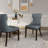 Reine Upholstered Wing Back Side chair
