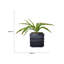 Plante grasse artificielle Bragdon en pot