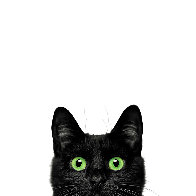 Chat effrayant aux yeux verts, H 32 po x l 24 po x P 1,25 po