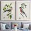 Oiseau antique, botanique et œuf II, toile encadrée de qualité supérieure - prête à être accrochée-1959763559-1959763556
