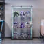Display Cabinet-703793781