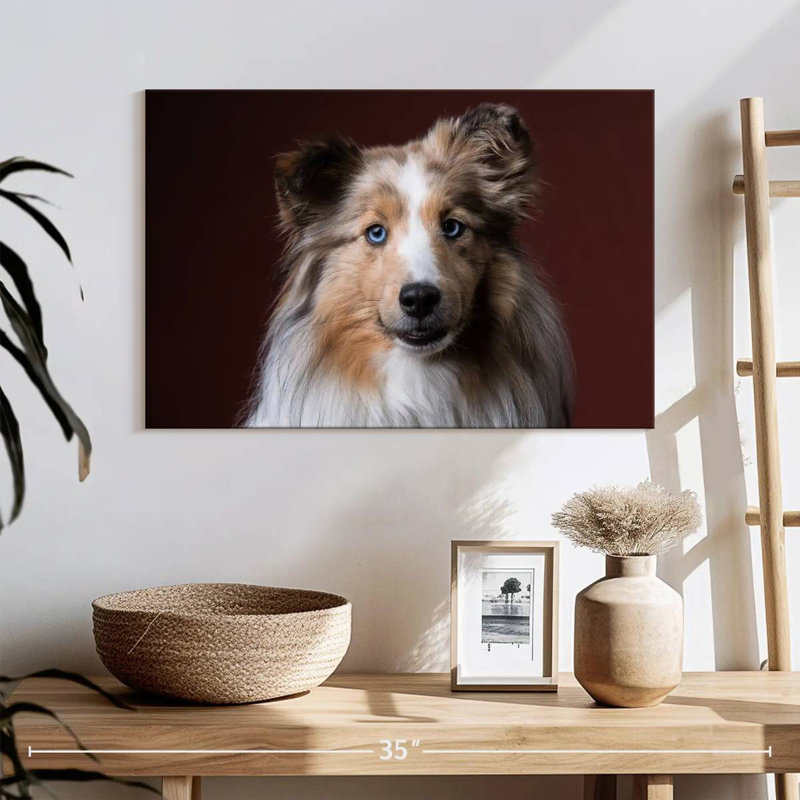 Adorable Sheltie, H 8 po x l 12 po