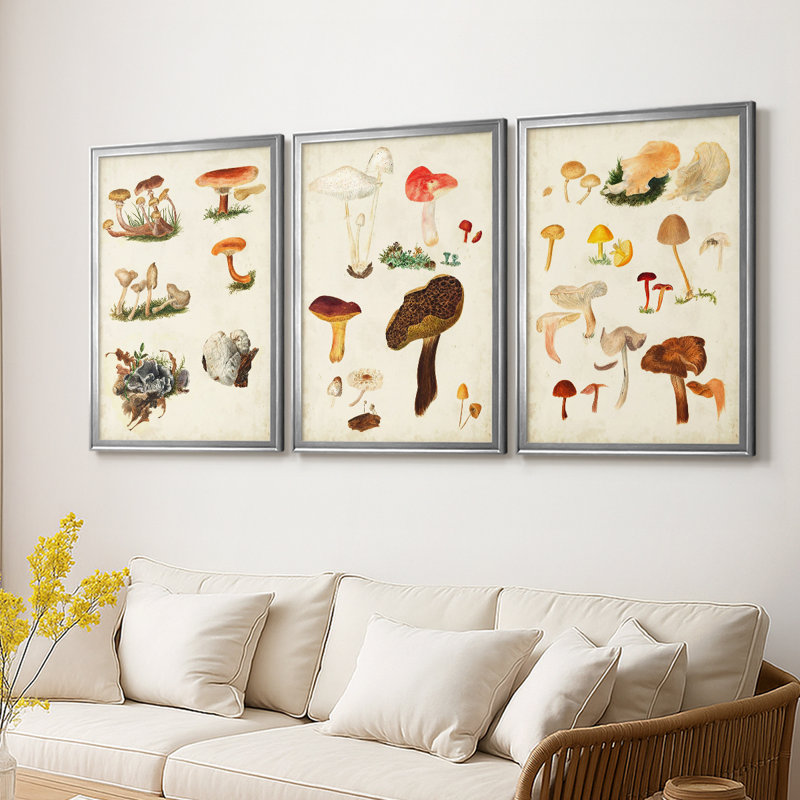 Mushroom Species X - Toile tendue avec châssis sur mesure - 3 pièces, H 27 po x l 57 po, Argent argent