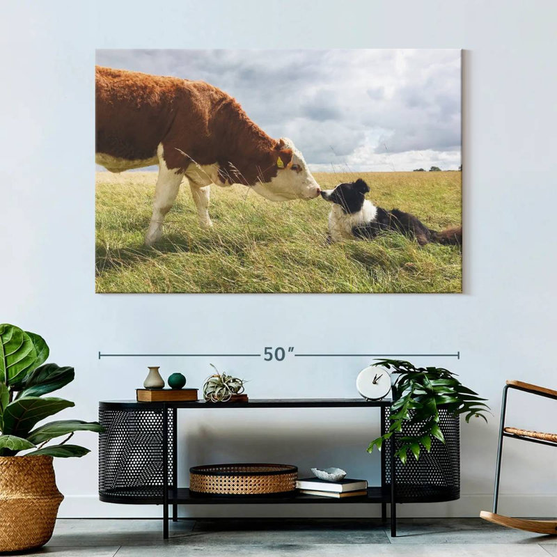 Brampt Border Collie And Cow, 34" H x 51" W
