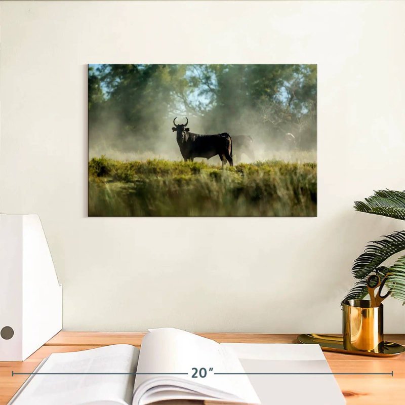 Bull In The Mist, 8" H x 12" W