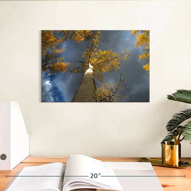 Harnek Aspen Tree Canopy, 8" H x 12" W