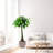 Ceramic Flowerpot - 3 Pieces, Stylish Planter For Various Spaces, All-Weather , Built-In Drainage, 15X15x13 Inches Modern Flowerpots Settings, All-Weather, Drainage Hole, 14.7"-285022322