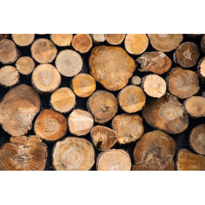 Firewood. by NikWaller - Wrapped Canvas Print