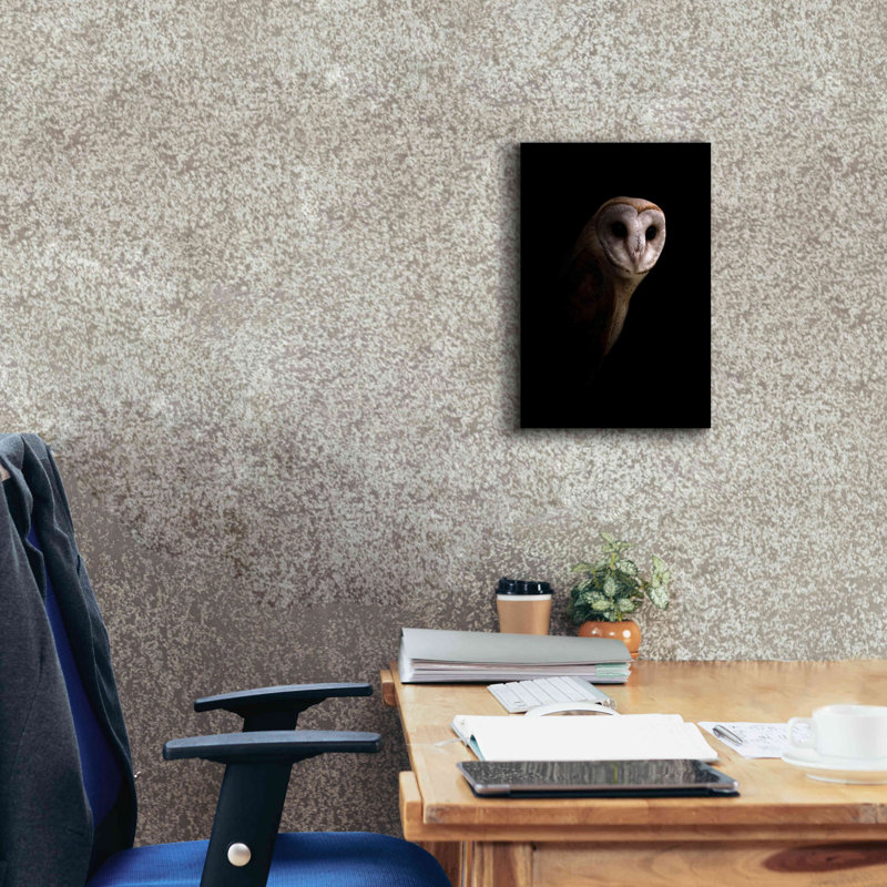 «Owl» par Incado, estampe numérique sur toile, H 18 po x l 12 po x P 0,75 po
