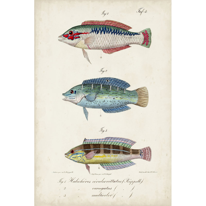 Trio de poissons antiques II, H 48 po x l 32 po x P 1,25 po