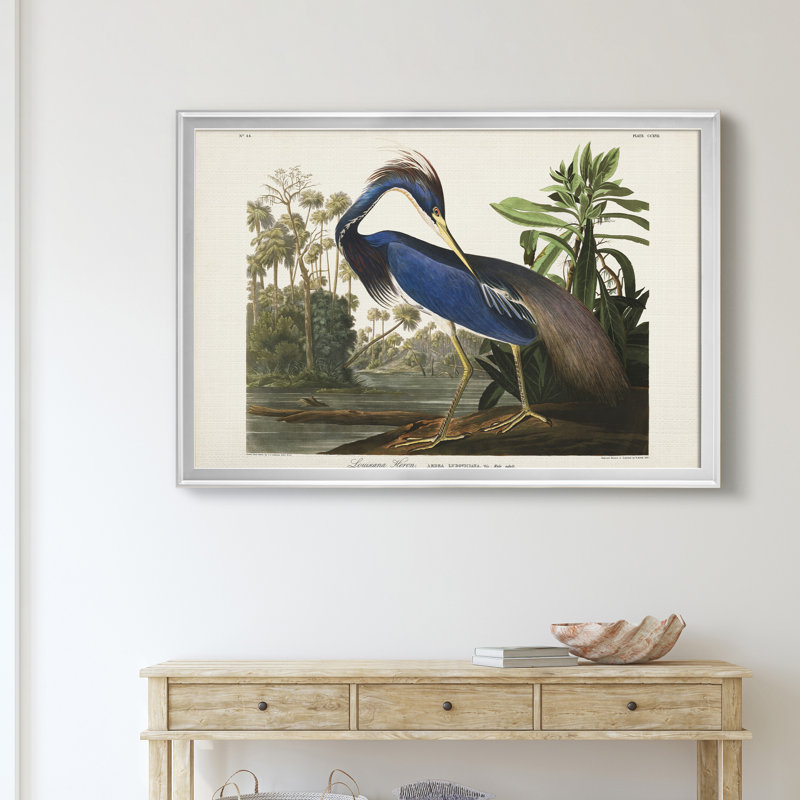 Louisiana Heron - reproduction d'art sur toile, H 18,5 po x l 24,5 po x P 1,5 po, Argent