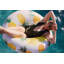 Rae Dunn 48" Ring Float - Pineapple Pattern