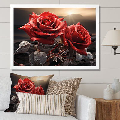 Champ de roses rouges et noires avec coucher de soleil