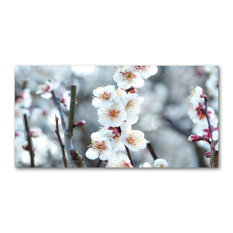 Cherry Blossoms - Wrapped Canvas Print