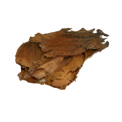 Filet de palmier naturel Fossett