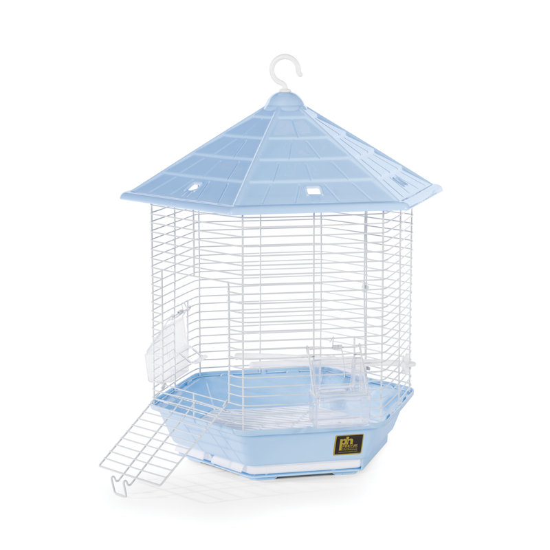 Cage à oiseaux avec perchoir en plastique à toit pointu 21,5 po Borrero, Bleu pâle