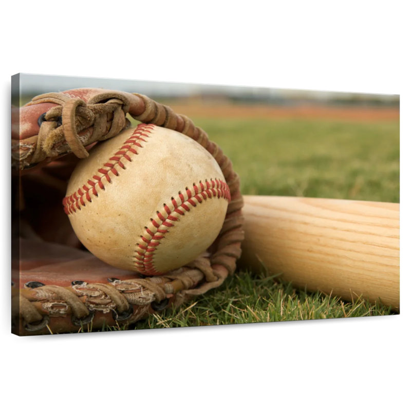 Sireci Baseball Necessities, 20" H x 30" W