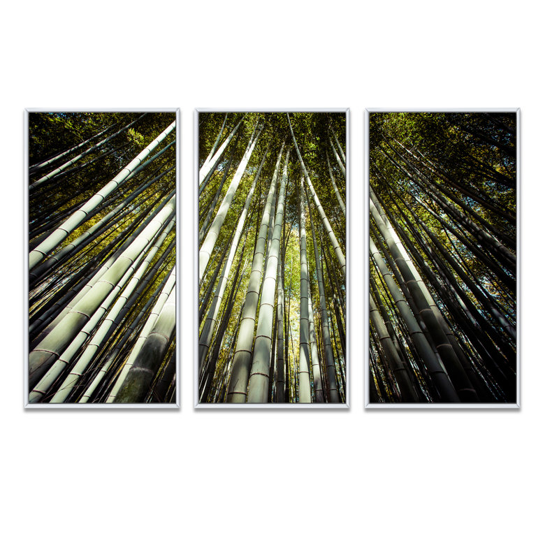 Longs bambous dans la forêt de bambous - ensemble d'art mural sur toile encadré forêt, H 28 po x l 36 po x P 1 po
