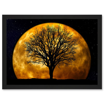 Photo Composition Nature Silhouette Moon Star Tree - Single Picture Frame Print