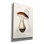 «Champignon» par Art Licensing Studio, art mural sur toile