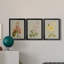 «Botanical Array I», ensemble de 3 impressions sur toile encadrées-1436849650-1436849548