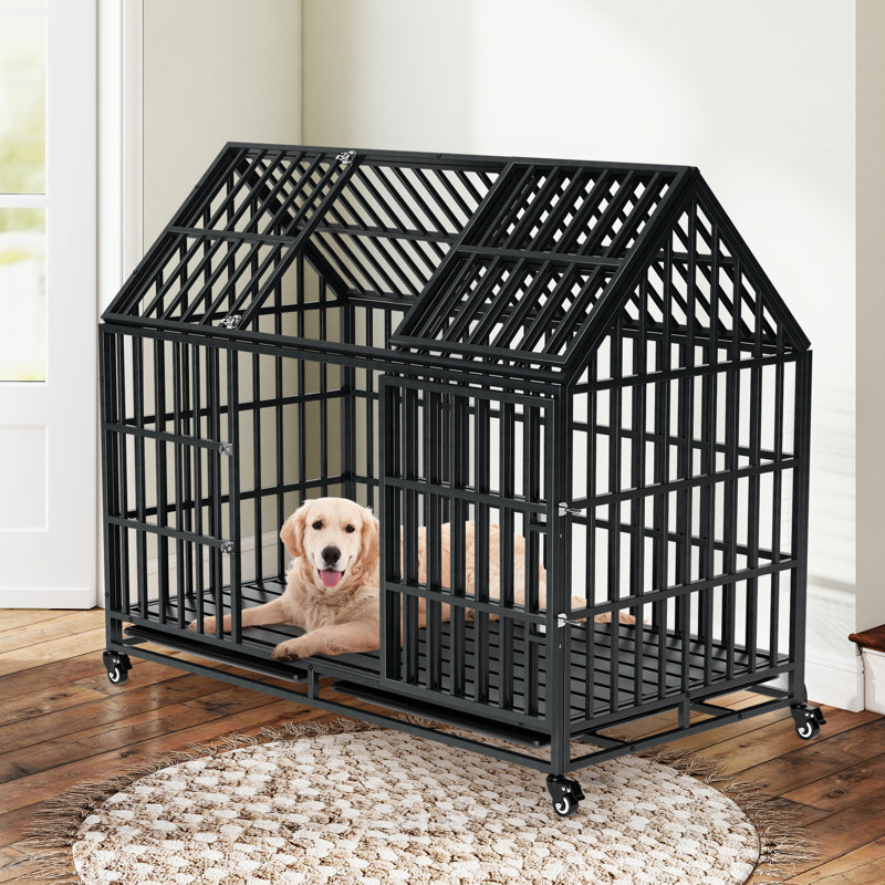 Cage pour chien robuste 52 po avec toit
