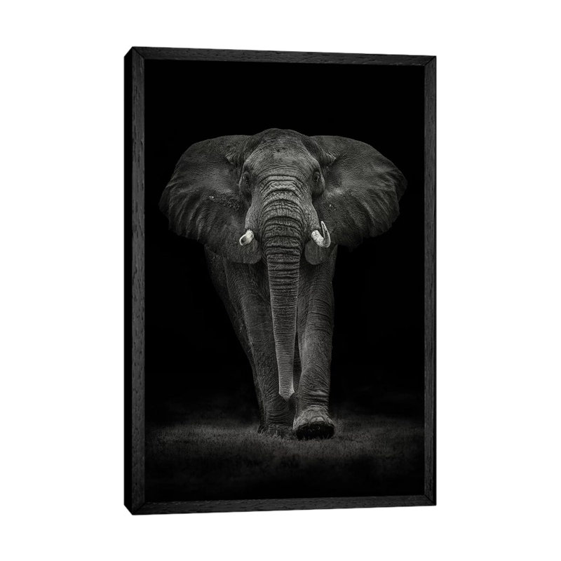 Ngorongoro Bull by Mario Moreno - Print on Canvas, 101.6cm H x 66.04cm W x 3.81cm D, Black Floater Framed