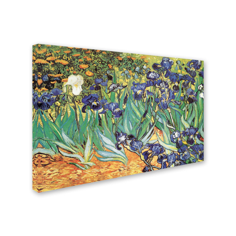 « iris jardin » par vincent van gogh, reproduction sur toile tendue, H 12 po x l 19 po