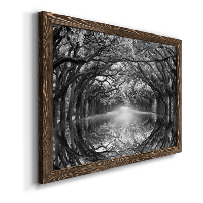 " Oak Alley Reflection "