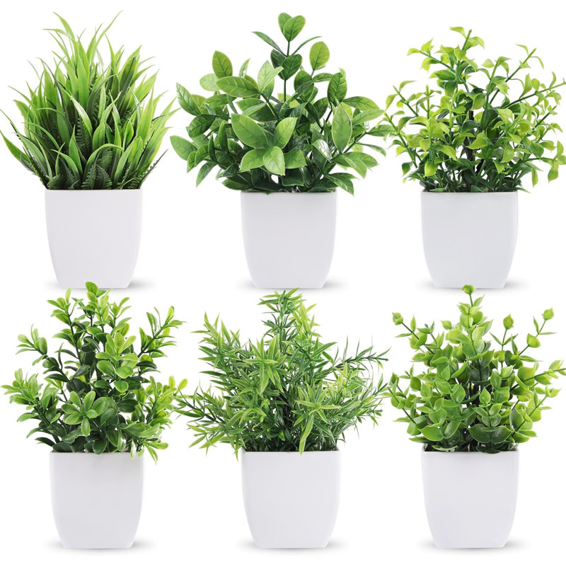 Der Rose 6 Pack Small Fake Plants Artificial Plants in Pots for Home Bthroom Bedroom Living Room Decor Indoor（White）