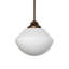 Luminaire suspendu 12 po