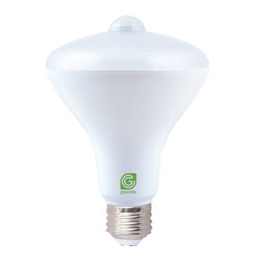 AICase 100 Watt A17 E27/Medium (European) 4000K Incandescent Smart Bulb