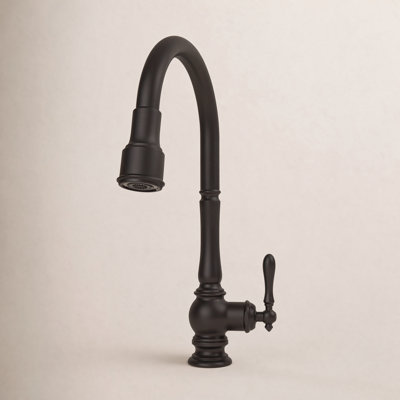 Artifacts Pull-Down Kitchen Faucet