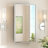Cyrille Recessed & Surface Framed Medicine Cabinet with Mirror and Shelves-860957889-819396592