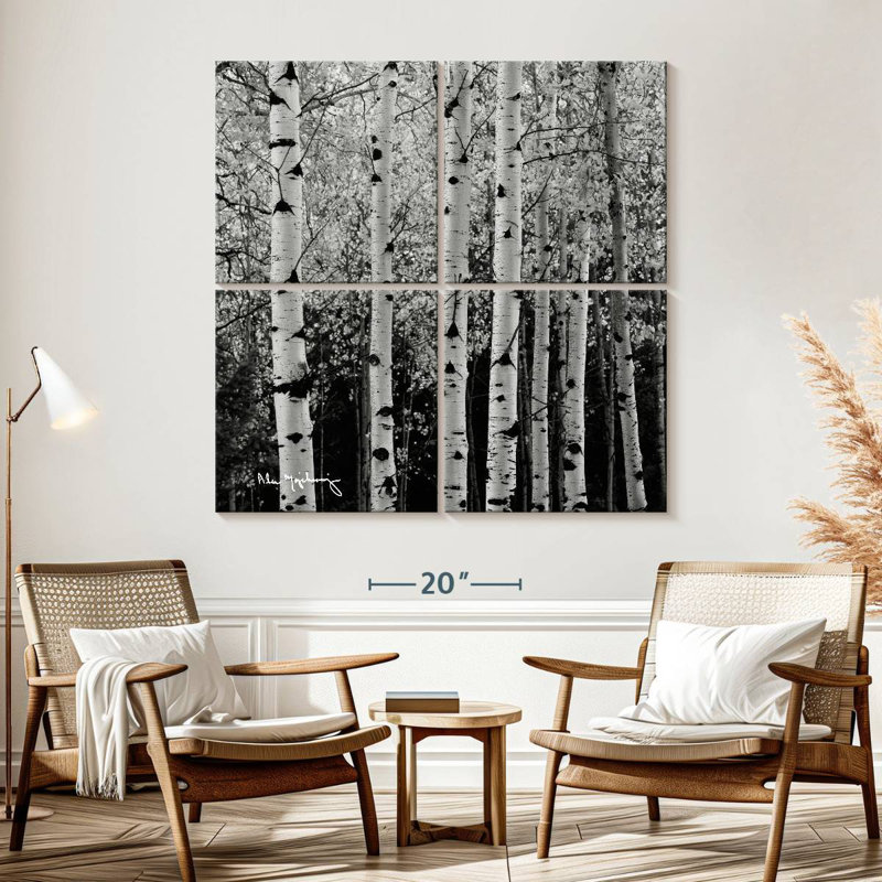 Alvord Aspens en automne BW, H 57 po x l 57 po