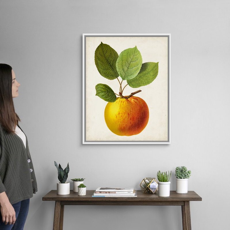 Antique Fruit I - reproduction d'art sur toile, H 31,7 po x l 25,7 po x P 1,75 po, Cadre flottant blanc