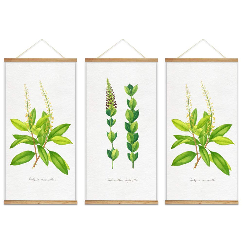 Affiche murale minimaliste botanique avec cadres en bois