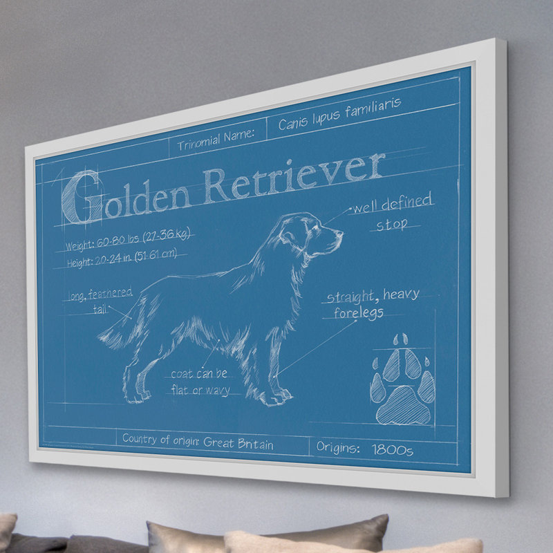 Art mural sur toile Trinx «Blueprint Golden Retriever» par Ethan Harper, H 16 po x l 24 po x P 1,5 po