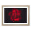 Dewdrops upon a Rose in Abstract - Picture Frame Graphic Art Print-55740260-55740254