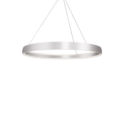 Halo 1 - Light LED Unique/Statement Pendant