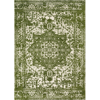 Oriental Area Rug