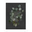 «Eucalyptus Leaves IV» sur toile-98391119