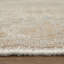 Wendover Transitional Oriental, Beige/Gray Area Rug-917887256