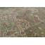 Oriental Area Rug