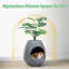 Polyethylene Plastic Litter Box-213346340
