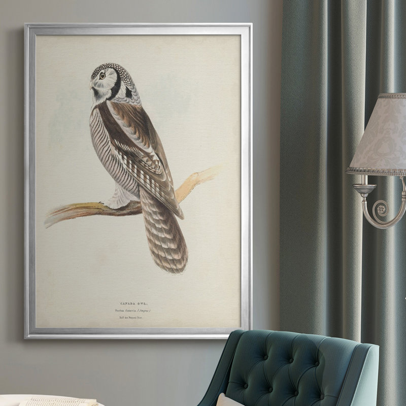 Toile encadrée de qualité supérieure Canada Owl - prête à être accrochée, H 30,5 po x l 22,5 po x P 1 po, Argent