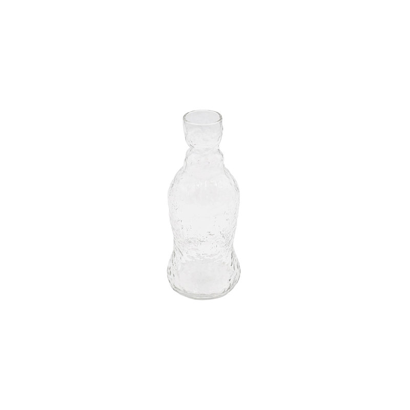 Kaori Clear Glass Contemporary Carafe Set of 2