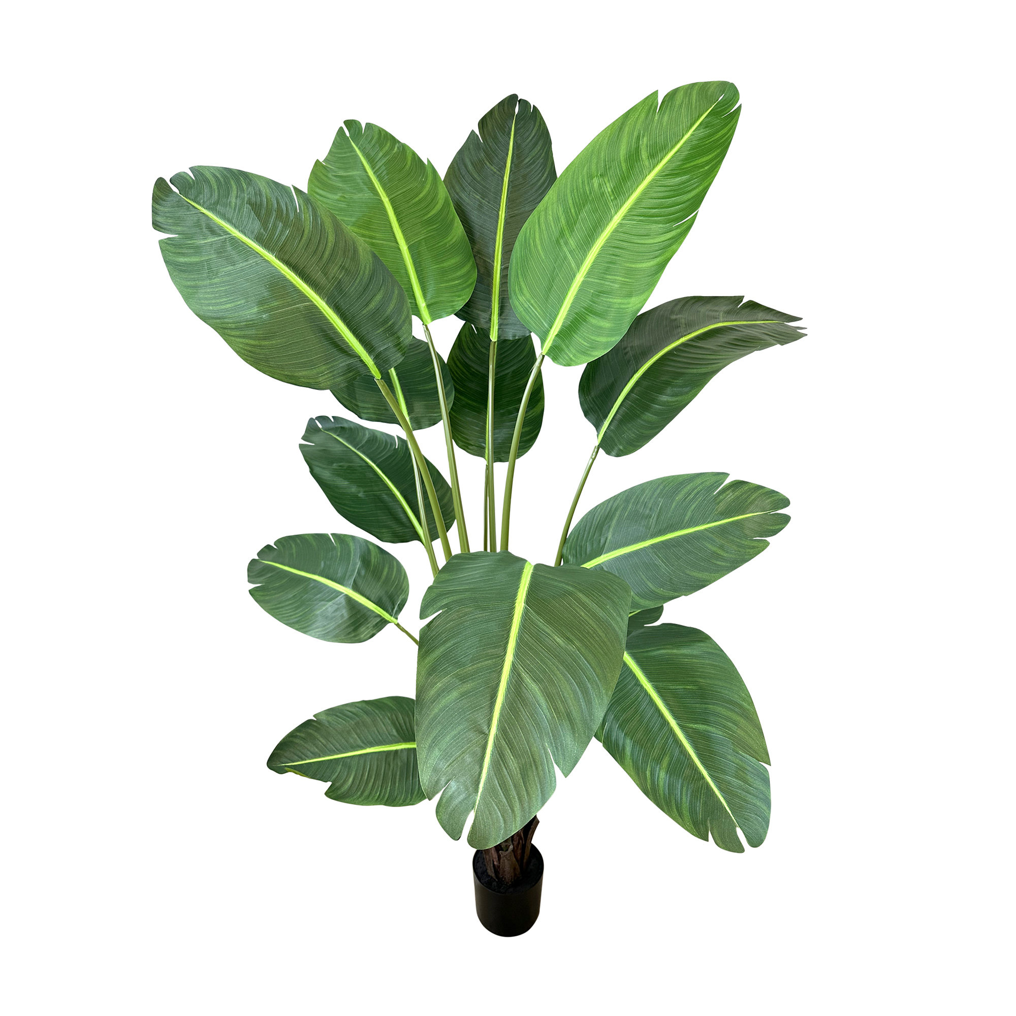 Online Home Store for Furniture, Decor, Outdoors & More