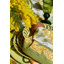 Serviettes Sebring - Vert et jaune - 19 po x 19 po -559451752