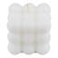 Plant / Floral Scented Wax Melt